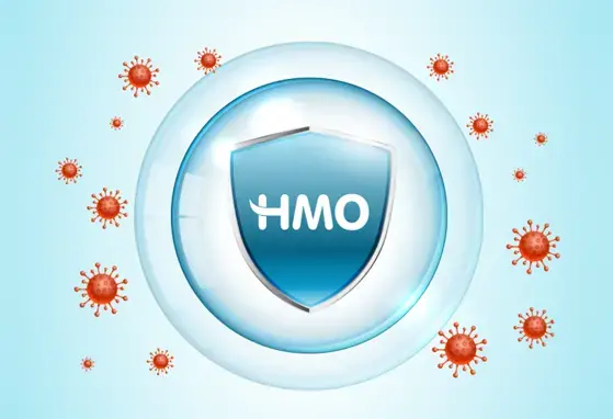Chi Tiết Về Chức Năng Của Hmo, Hoạt Tính Sinh Học Quan Trọng Đầu Đời Chi Tiết Về Chức Năng Của Hmo, Hoạt Tính Sinh Học Quan Trọng Đầu Đời